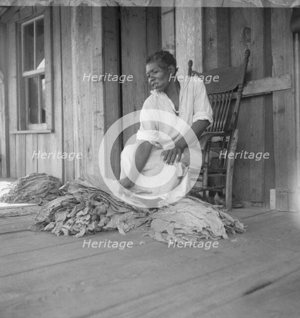Near Douglas, Georgia. Sharecroppers grade the cured leaves, 1938. Creator: Dorothea Lange.
