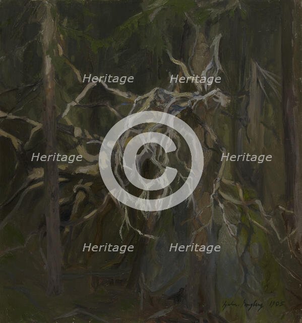 Broken Hollow Pine, 1905. Creator: Gabriel Engberg.