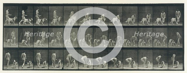 Animal Locomotion. An Electro-Photographic Investigation of Consecutive Phases of Animal ..., 1880s. Creator: Eadweard J Muybridge.