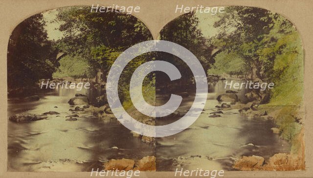 View in the Dargle, county Wicklow, Ireland., about 1860. Creator: London Stereoscopic & Photographic Co.