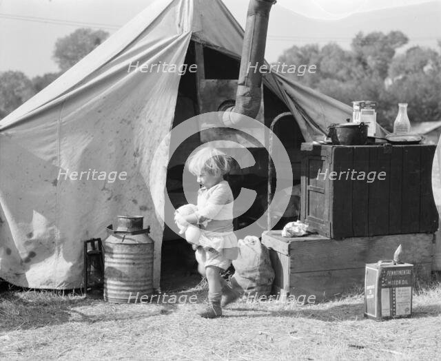 Child of migratory worker, American River camp near Sacramento, California, 1936. Creator: Dorothea Lange.