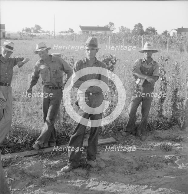 Farm Security Administration (FSA) cooperative farm, Lake Dick, Arkansas, 1939. Creator: Dorothea Lange.