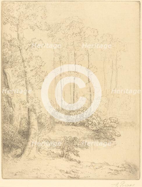 Edge of the Water (Au bord de l'eau). Creator: Alphonse Legros.