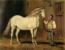 'Cream State Carriage Horse of Queen Victoria's Stud', c1875, (1944).  Creator: Unknown.