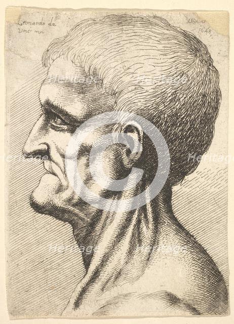 Head of a toothless man with bare, sinewy neck in profile to left, 1648. Creator: Wenceslaus Hollar.