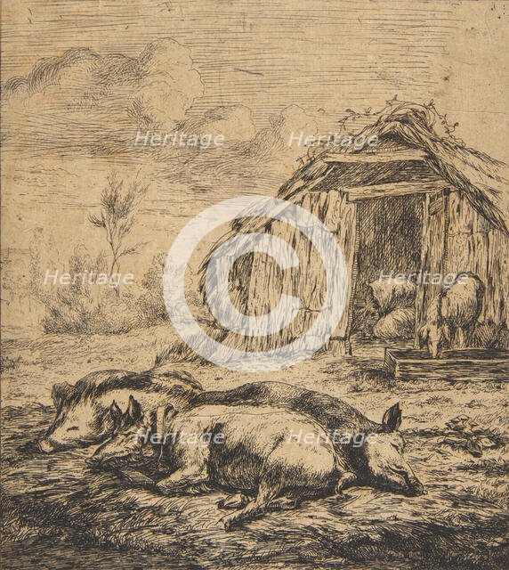 Three Pigs Lying in Front of a Shed, 1850. Creator: Charles Meryon.