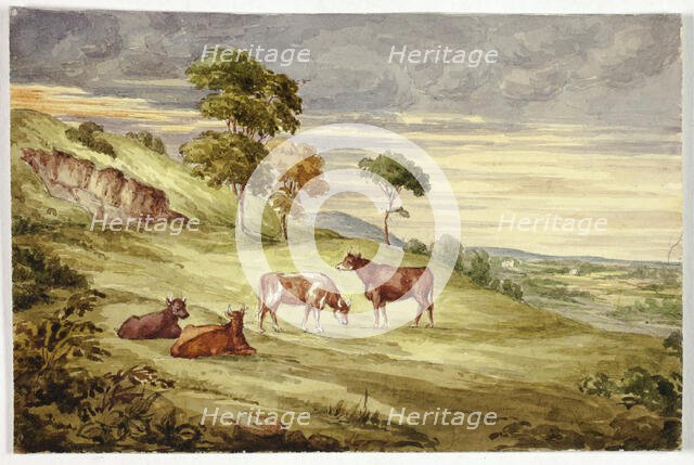 Deer Park, possibly Kilkenny, 1843. Creator: Elizabeth Murray.