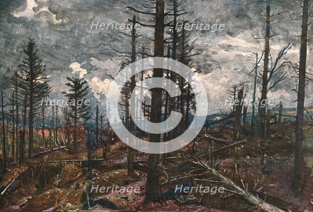 ''Le Bois mutile (cote 955, au-dessus de Metzeral)', 1915. Creator: Unknown.