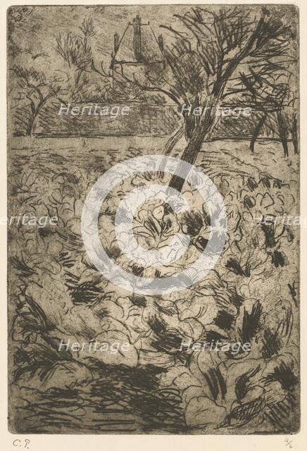 The Cabbage Field (Le champ de choux), c. 1880. Creator: Camille Pissarro.