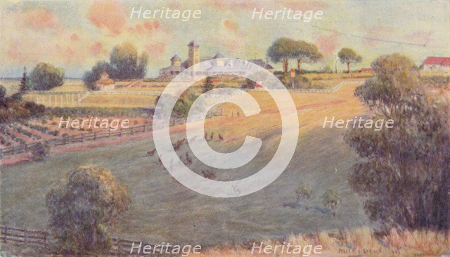 'A "Station" Homestead', 1923. Creator: Unknown.