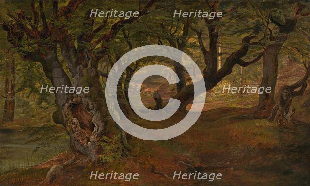 View of Bregentved Forest, Sjaeeland, mid 1830s. Creator: Frederik Sødring.