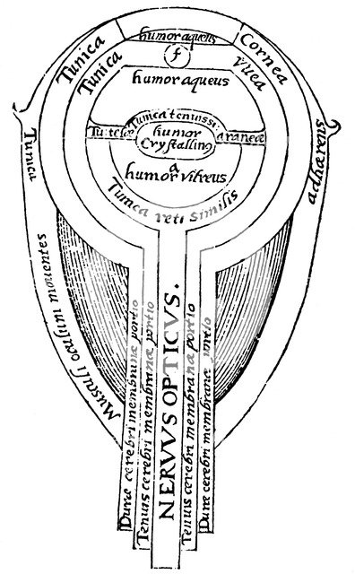 Anatomy of the eye, 1572. Artist: Unknown