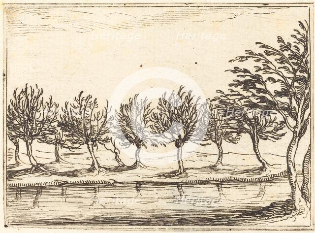 Willows by the Water's Edge, 1628. Creator: Jacques Callot.