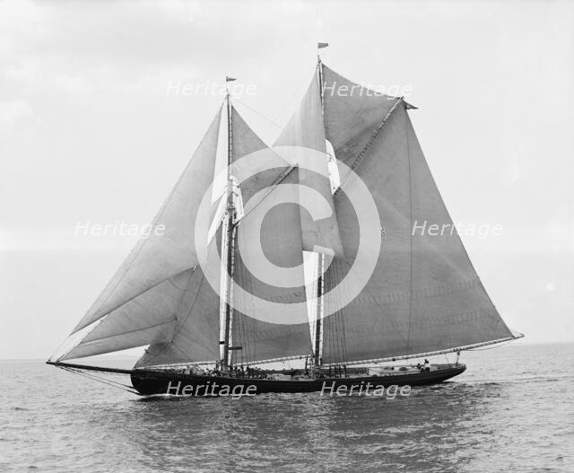 Rose Dorothea, winner of Lipton Cup, in first [?] Fishermen's Race, 1907. Creator: Unknown.
