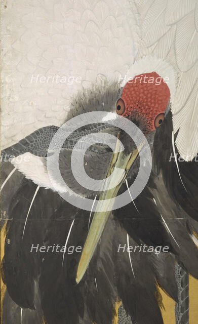 Cranes (image 6 of 20), An'ei period (1772-1780). Creator: Maruyama Okyo.