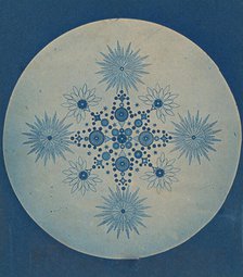 [Frustules of Diatoms], ca. 1870. Creator: Attributed to Julius Wiesner.