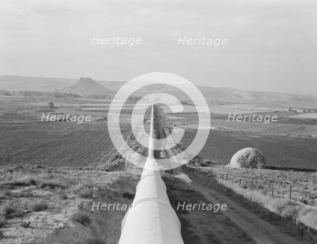 Siphon - the world's longest - which carries water 5 miles to Dead Ox Flat, Oregon, 1939. Creator: Dorothea Lange.