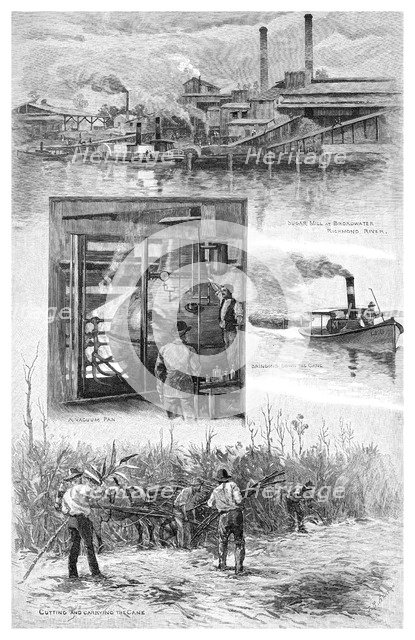 The sugar industry, Richmond River, New South Wales, Australia, 1886.Artist: JR Ashton