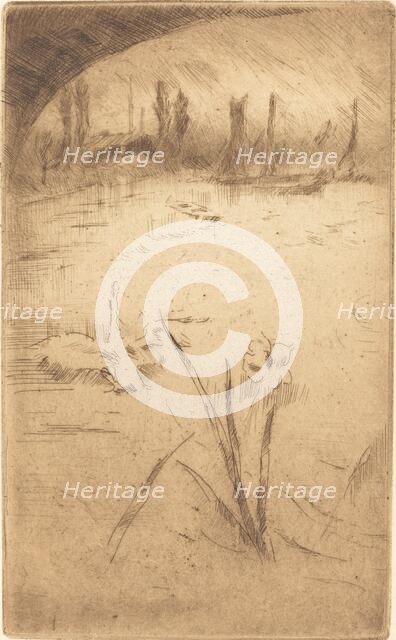 Swan and Iris, published 1883. Creator: James Abbott McNeill Whistler.