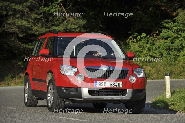Skoda Yeti 2009. Artist: Simon Clay.