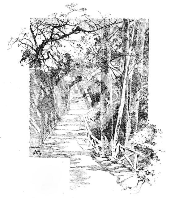 Belvoir Castle: footpath leading to the Castle, 1890. Creator: Unknown.