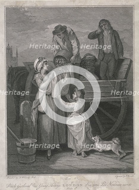 'Fresh Gathered Peas Young Hostings', Cries of London, c1795. Artist: Pietro Bonato
