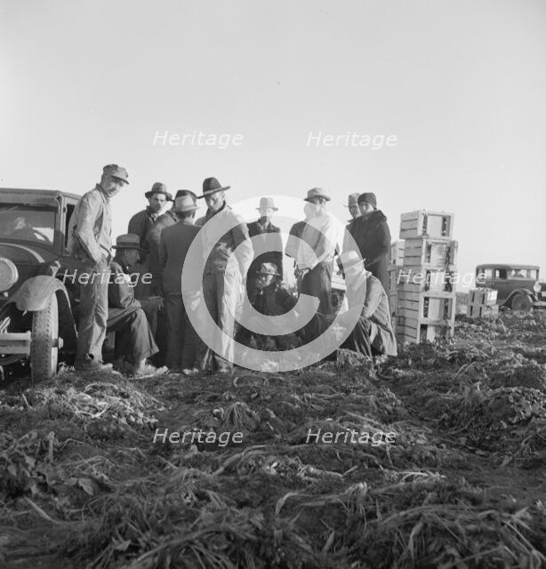 Migratory field workers at 5 a.m. waiting in the carrot field to hold a place to work, 1939. Creator: Dorothea Lange.