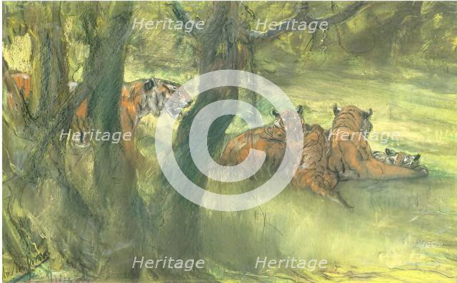 Landscape with Tiger and Cubs, 1900-1910. Creator: John MacAllan Swan.