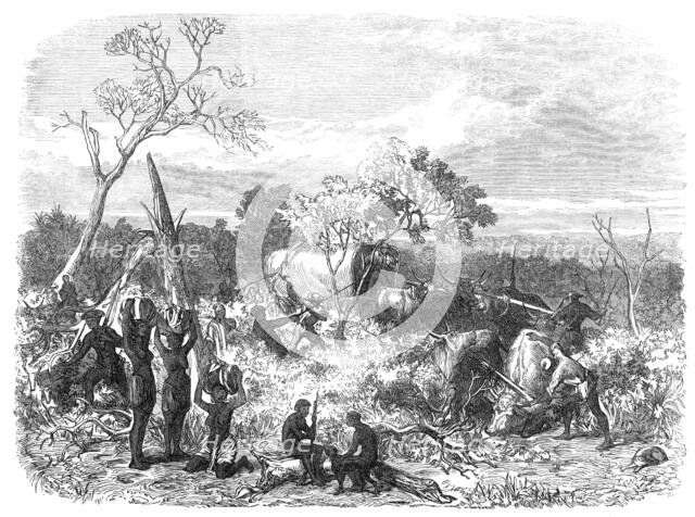 Travelling in Africa: cutting a road for the waggons, 1868. Creator: Unknown.