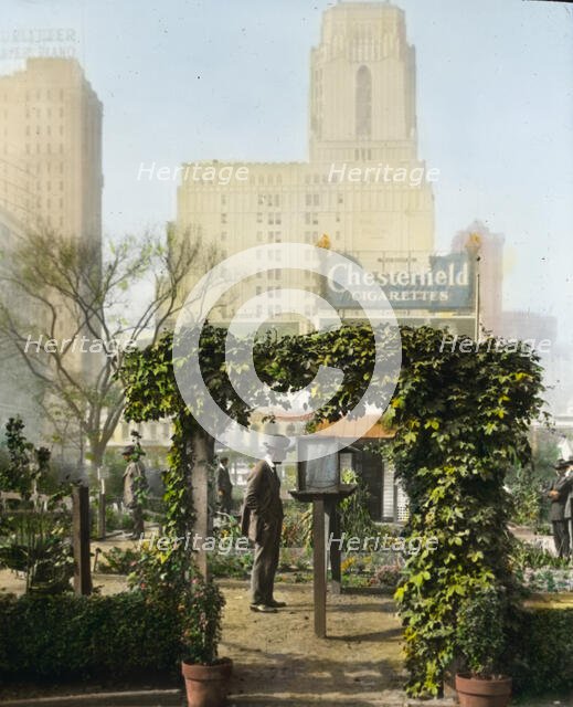 Demonstration garden, Bryant Park, 42nd Street and Fifth Avenue, New York, New York, 1918. Creator: Frances Benjamin Johnston.