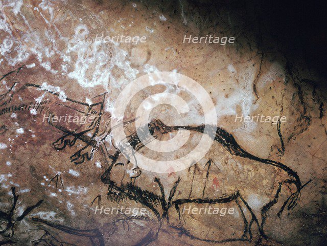Neolithic cave-painting of a wounded bison. Artist: Unknown