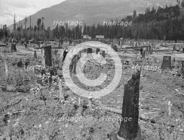 New farm home, Boundary County, Idaho, 1939. Creator: Dorothea Lange.