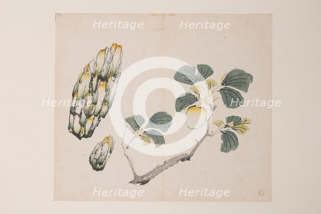 Page from Shi Zhu Zhai. Creator: Unknown.