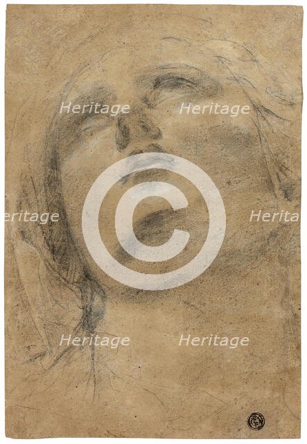 Head of the Virgin Looking Upwards, c.1615. Creator: Jacopo Cavedone.