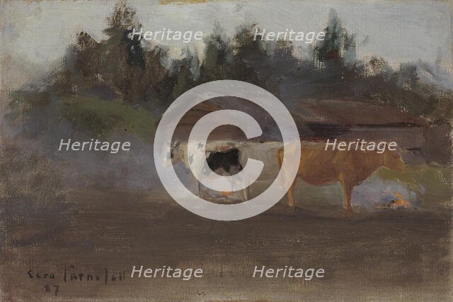 Cows in Turf Smoke, study, 1887. Creator: Eero Jarnefelt.