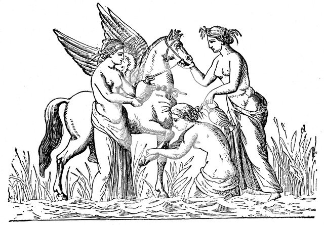 Nymphs attending the winged horse, Pegasus. Artist: Unknown