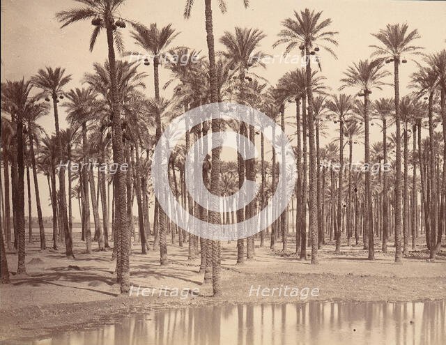 Temple de Cathers a Saqqarah, 1880s. Creator: Unknown.