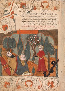 The Old Snake Tells the Tale of Biting the Ascetic's Son by Mistake, Folio from a Kalila..., 18th ce Creator: Unknown.
