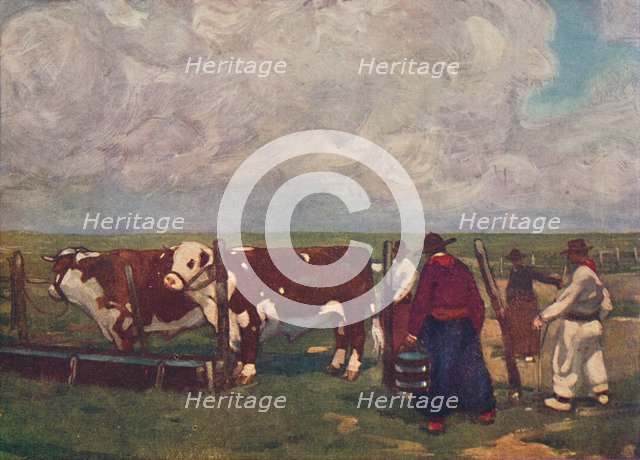 'Pedigree Oxen on a a Lemco Estancia', 1916. Artist: A S Forrest.