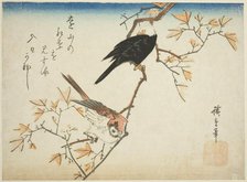 Two birds on maple branch, 1830s. Creator: Ando Hiroshige.