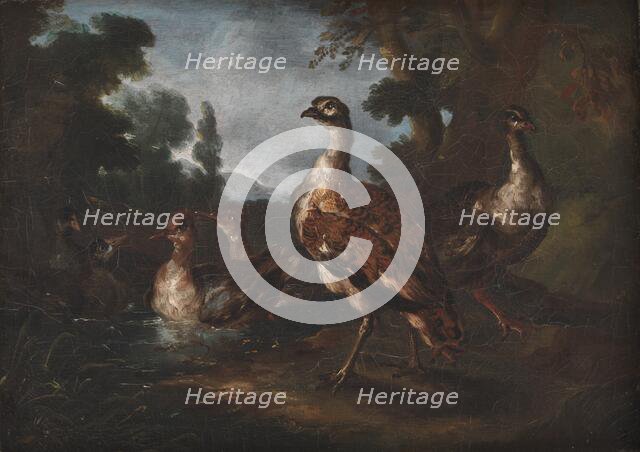 Landscape with Birds, 1665-1730. Creator: Angelo Maria Crivelli.