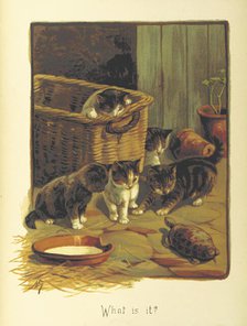 What is it?, 1893.  Creator: Fannie Moody.