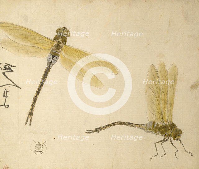 Designs for Inro and Other Lacquers, 1801. Creator: Hara Yoyusai.