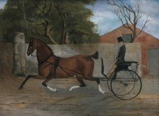Portrait of a Gentleman in a Carriage, ca. 1850-60. Creator: Unknown.