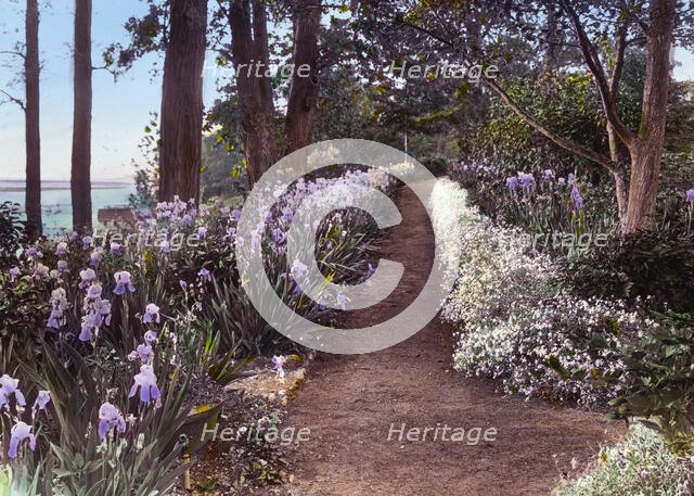 "Willowmere," Rear Admiral Aaron Ward house, 435 Bryant Avenue, Roslyn Harbor, New York, c1914. Creator: Frances Benjamin Johnston.