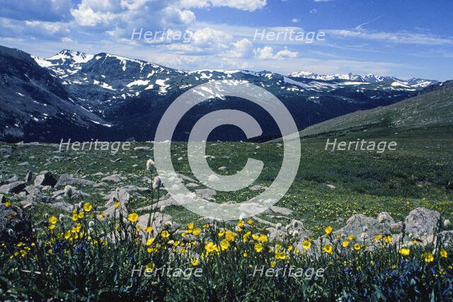 Sound of Music. Creator: Robert Manno.