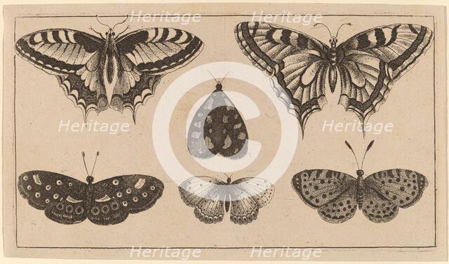 Five Butterflies and a Moth. Creator: Wenceslaus Hollar.