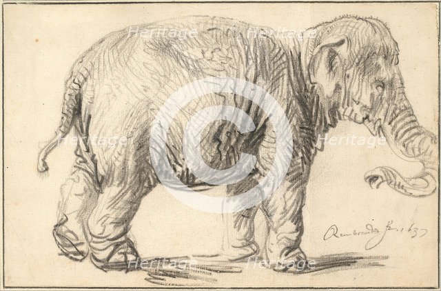 An Elephant, 1637. Artist: Rembrandt van Rhijn (1606-1669)