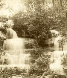Mosman Bay: upper falls. Creator: Unknown.