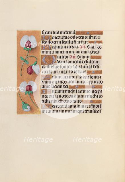 Hours of Queen Isabella the Catholic, Queen of Spain: Fol. 242v, c. 1500. Creator: Master of the First Prayerbook of Maximillian (Flemish, c. 1444-1519); Associates, and.